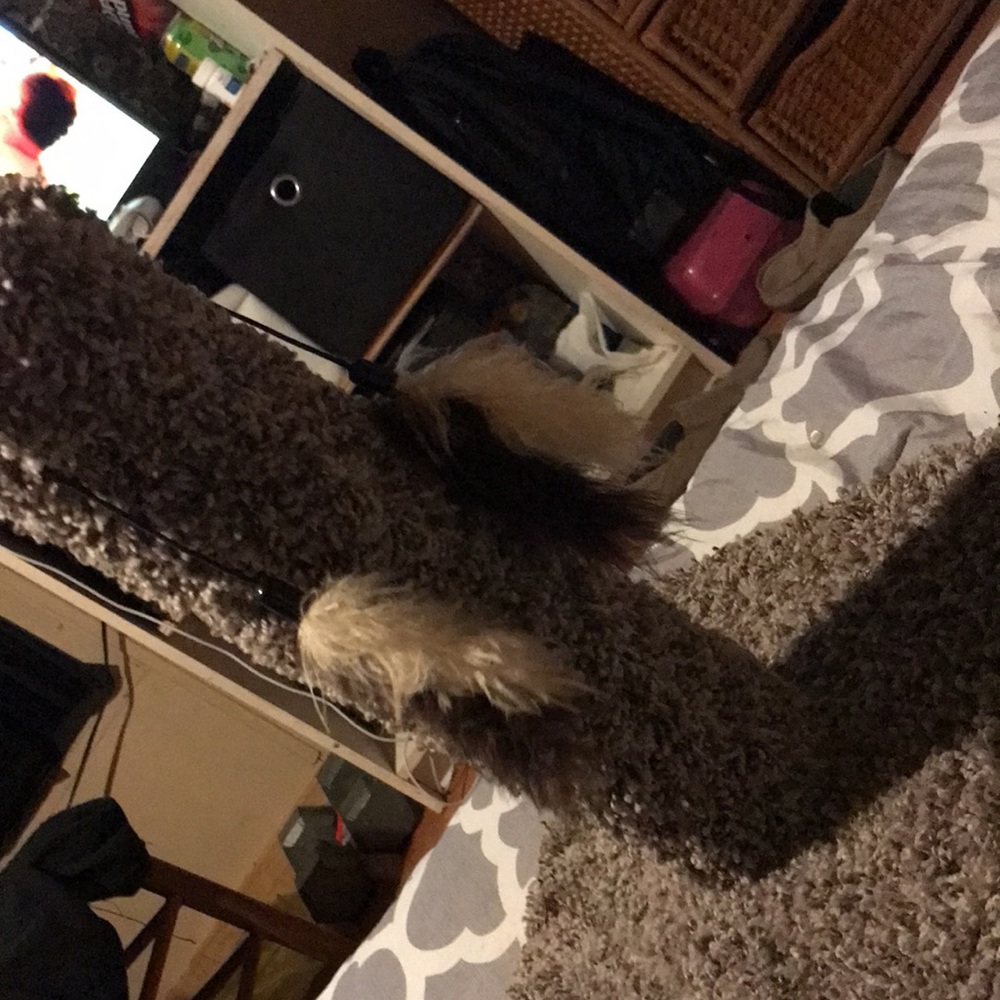 Cat scratch post - Picture 3 of 3